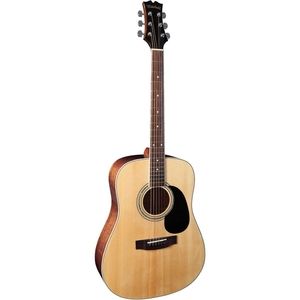 Mitchell Acoustic Guitar MD-100S 1